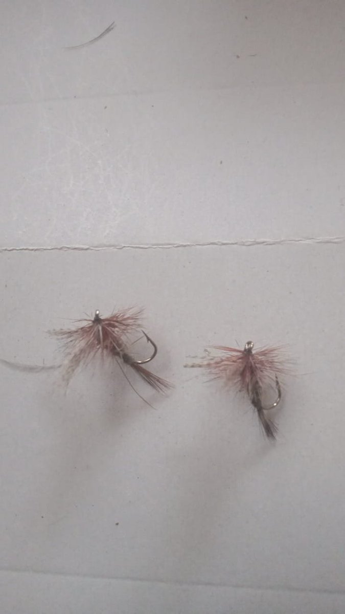 MaxedVentures's tweet photo. Thinking of some business/ Why not open an account with Amazon FBA and sell hand-tied fishing Flies and create a brand.
#MikePence 
#ukmakers
#lockett
#MUFC 
#CryptoTwitter 
#Crypto 
#cryptocurrency 
#AgustD_SUGA_Tour_in_US 
#InsideNo9 https://t.co/IrXTRasEBh