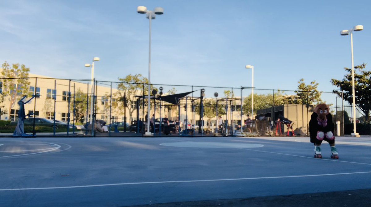 Amelia Savery tweet media