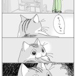 呼ばれて振り向くときにヒゲが引っかかって･･･!とっても可愛くて癒される「猫漫画」!