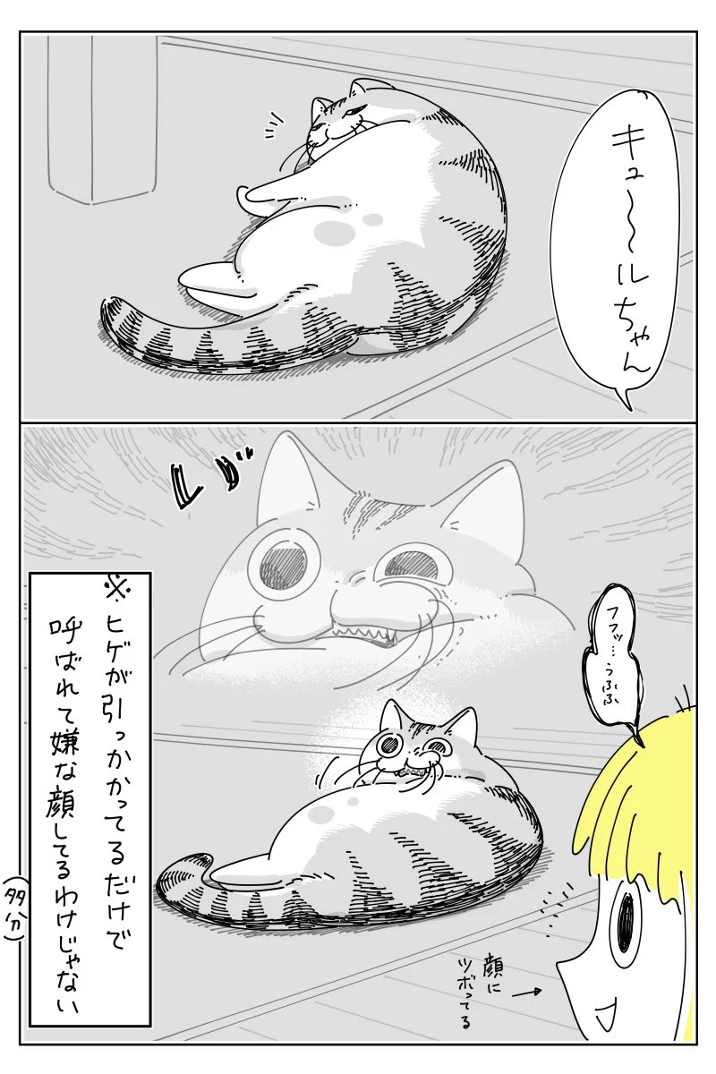 呼ばれて振り向くときにヒゲが引っかかって･･･！とっても可愛くて癒される「猫漫画」！