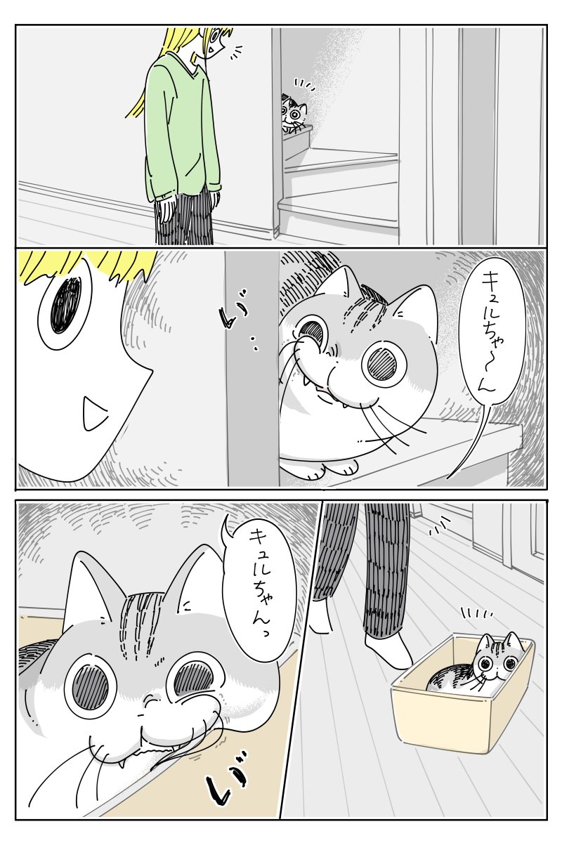 い゛って顔するネコ https://nekonavi.jp/catblog/archives/73775