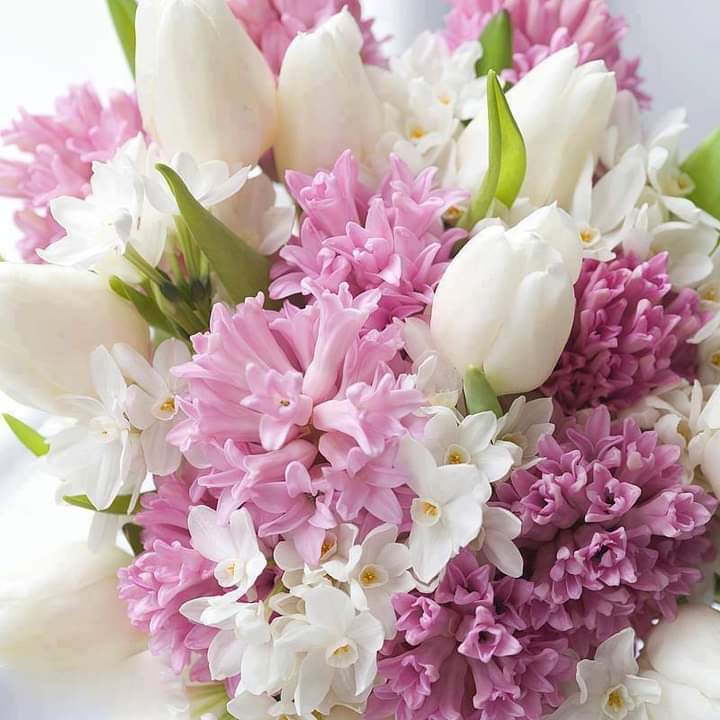 Dulcelinelatina's tweet image. Think about how much time you spend at work, watching tv, scrolling on social media, texting, playing games on your phone. Now think about how much time you pray. Make it a daily habit to pray every day and throughout the day 🙏

#praydaily #prayoften #ThankYouGod