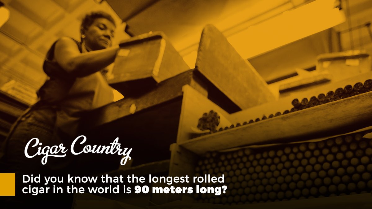 Cigar Country tweet media