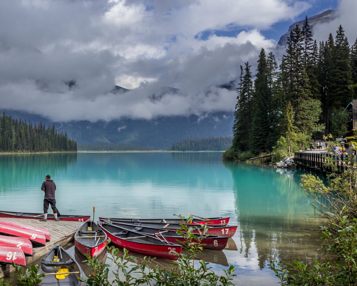 The #CMRoachPhotos shop will close at 11:59pm on May 31, 2023. Now’s the time to get your last purchases in - prices on the shop reduced by around 25% to say thanks!

Want to browse the pictures for sale: 
cmroachphotography.ca/buypictures