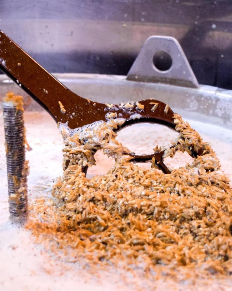 Esta semana cocinamos un estilo clásico de nuestra Casa 🍺🌾 y le agregamos un ingrediente secreto 👀

Estén al pendiente de nuestras redes para conocer más detalles 📳 <a href="/BosigerBeer/">Bosiger Beer Brewery</a> 
.
.
.
. 
. 
#bosigerbeer #bosigerbrewery #brewingsince1998 #craftbeer #cervezaartesanal