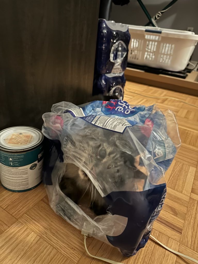 u no wat they saying : “ dress fore tha job u wont “