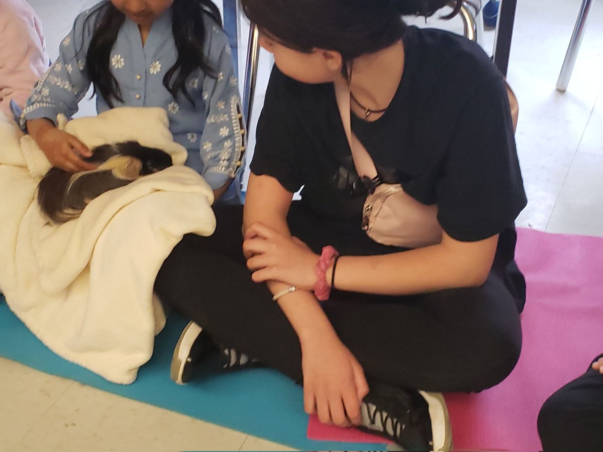 Pause 4 Paws <a href="/GenCrerar/">General Crerar P.S.</a> during Respect Animals Week with the help of Makayla our Co-op student and Ms Panacos! <a href="/madame_vicky/">Vicky Mercier</a> <a href="/EcoSchoolsTDSB/">TDSB EcoSchools</a> <a href="/MrsSharonLin/">Sharon Lin</a> <a href="/JeannetteRebelo/">JeannetteRebelo</a>