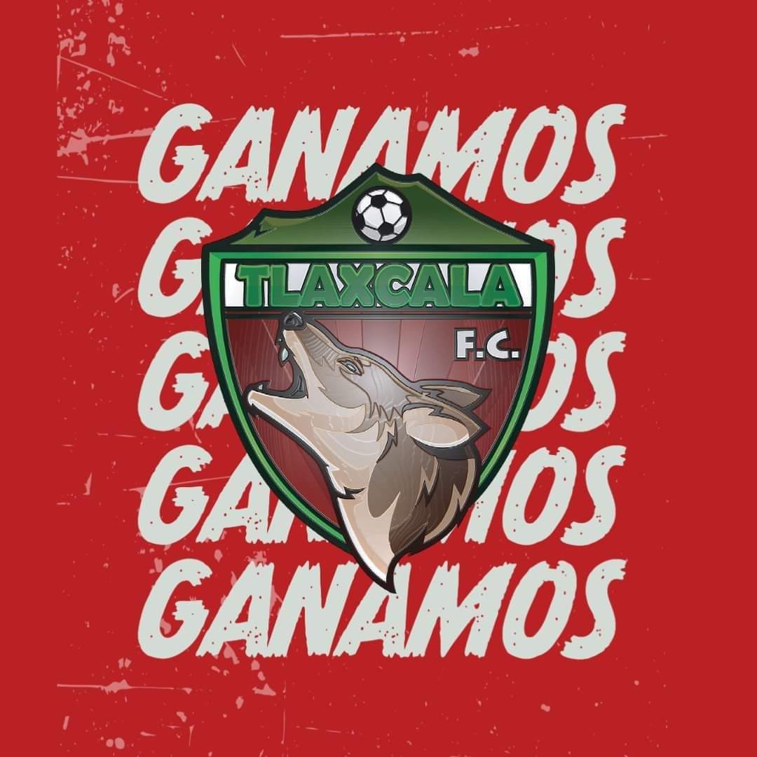 Estamos en CUARTOS DE FINAL.