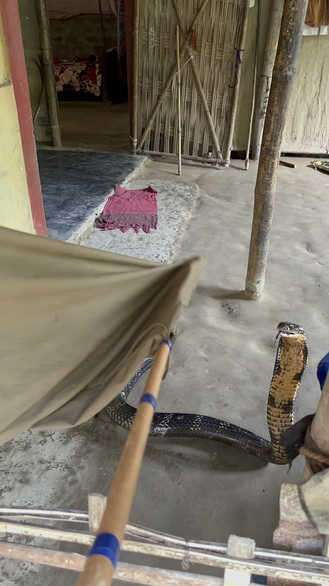 DEVAJIT MORAN #IAmDehingPatkai #Protectmetoo tweet media