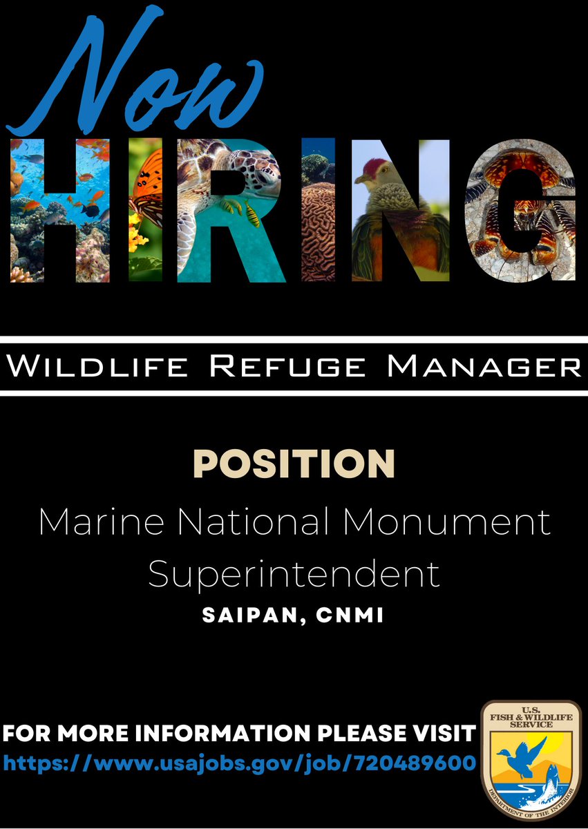 FRIENDS OF THE MARIANA TRENCH tweet media