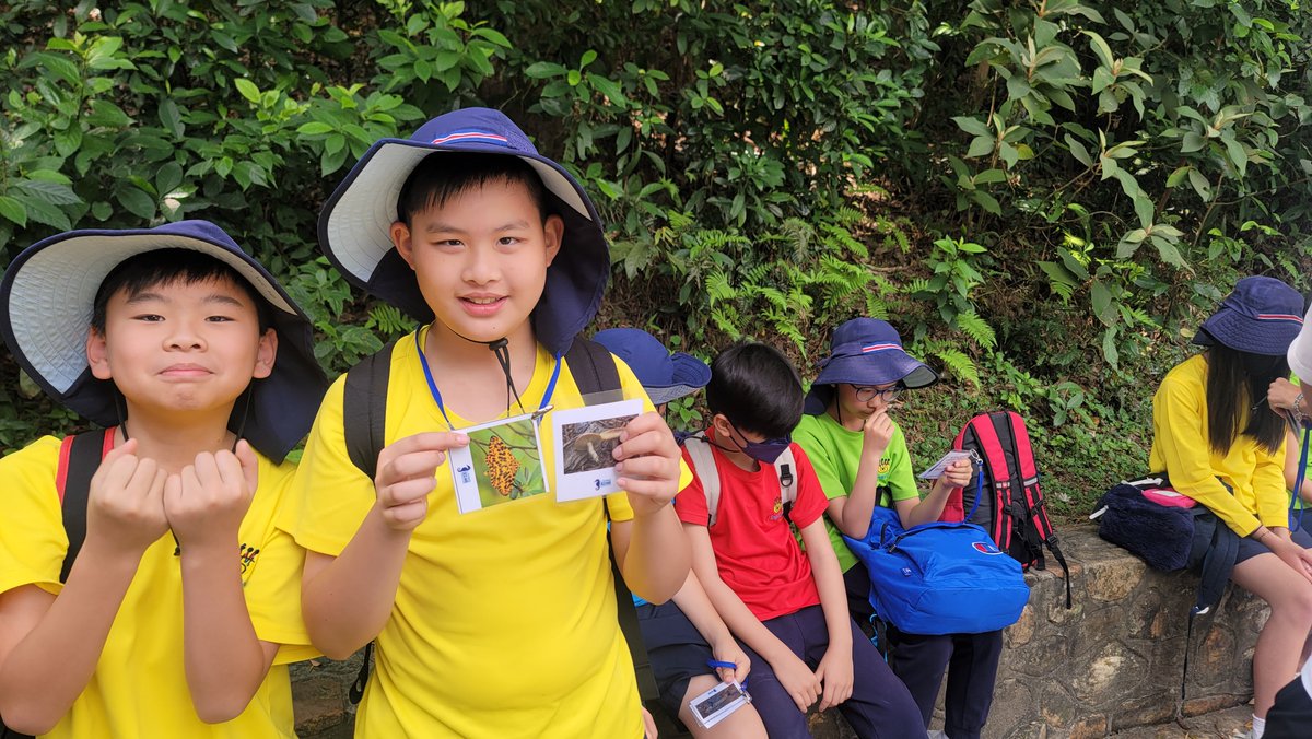 Watch your child's creativity and curiosity soar at Kingston. Our student-centered approach fosters a love of learning that lasts a lifetime. Visit kingston.edu.hk to see for yourself.