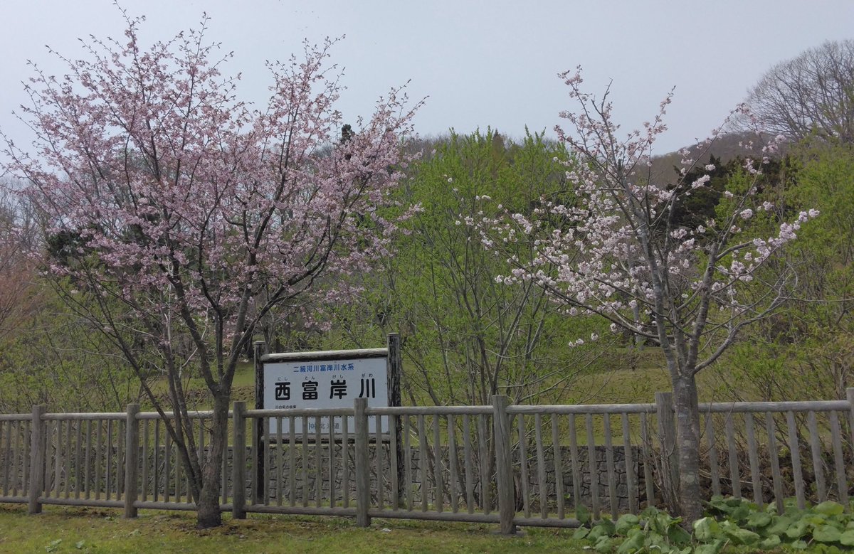 vwoodtk's tweet photo. 4月28日の亀田記念公園

これって桜は咲きかけ？それとも散りかけてるのかな？

#北海道
#室蘭・登別 https://t.co/B9yAKcfHXD