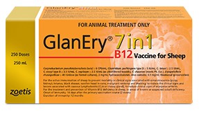 B12 supplementation in sheep.
Hard to find much science based information and trial data to justify in areas where not a cobalt deficient.
As new product, GlanEry 7in1 B12 raising interest in  B12 benefits.
Link is best article I have come across.
flockandherd.net.au/sheep/reader/v…