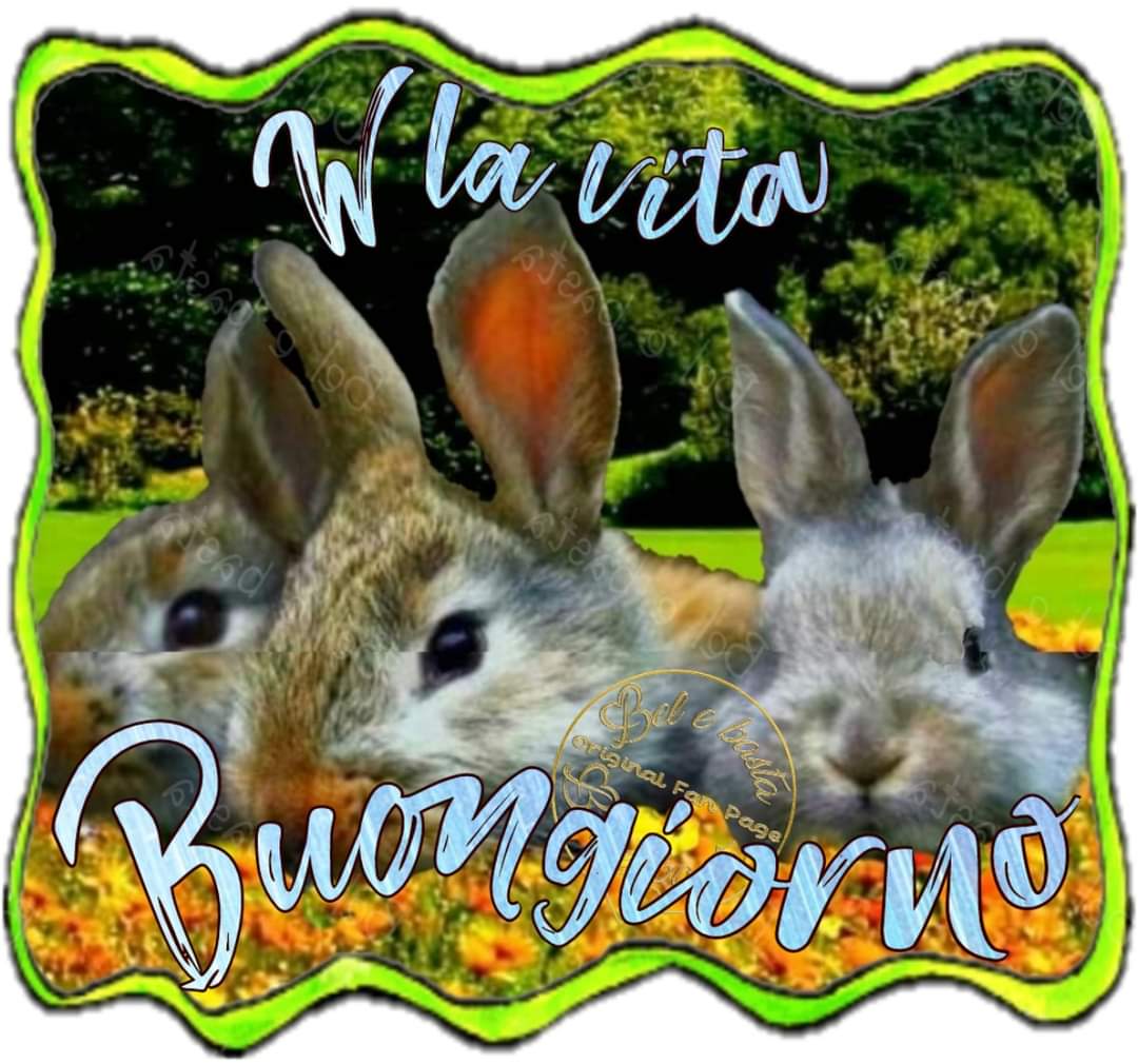 Buongiorno a tutti e buona giornata 😙