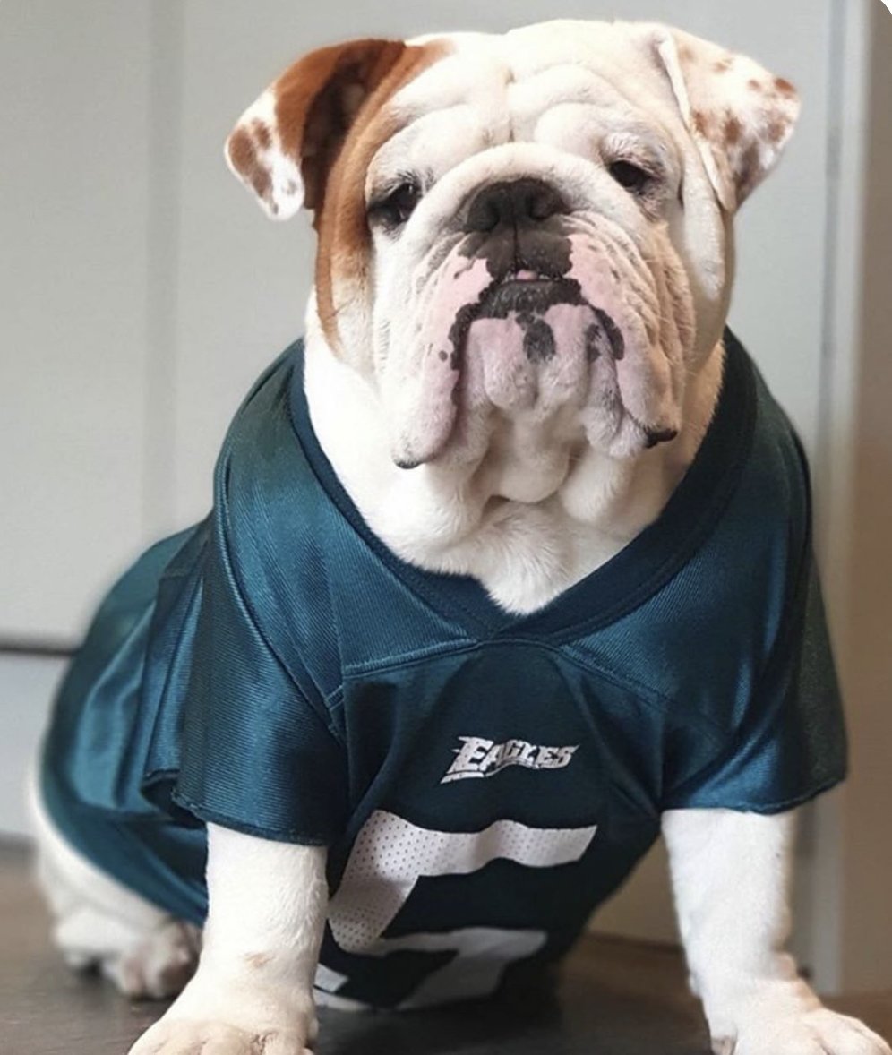 billbarnwell's tweet photo. Checking in on the Eagles https://t.co/1Khe3KuqEQ