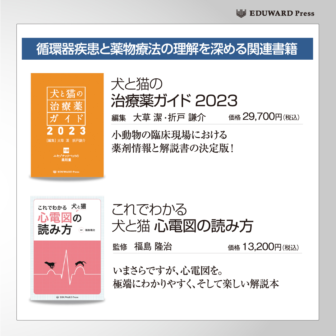 訳ありセール格安） 犬と猫の治療薬ガイド2023 haiphongdpi.gov.vn