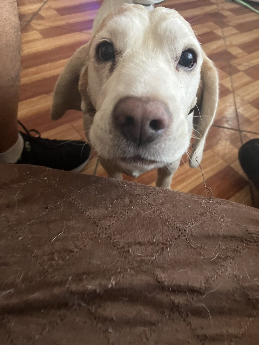 hermanito te amo 💕