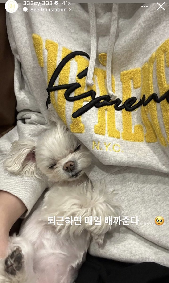 KookkaixCYJ's tweet photo. ล่าสุดอิจฉาหมาแล้วขี้อ้อนทั้งคู่ อยากเป็นหมาที่ชื่อ Coco กับ Bibii 🥺🥺
#Youngjae #กันอรรถพันธ์
#Coco #Bibii https://t.co/nhdi13ASpQ