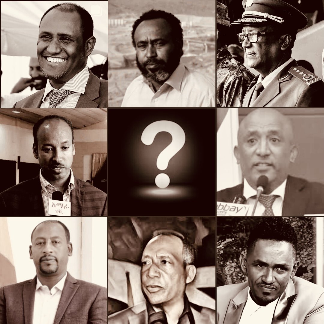 Who benefited most from these high profile assassinations? Who had the motive, the means and the opportunity? What followed their immediate assassinations? Who has benefited from chaos since the Addis Ababa bombing?