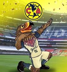 BasedRome's tweet image. Eagles after drafting two of the D-lineman