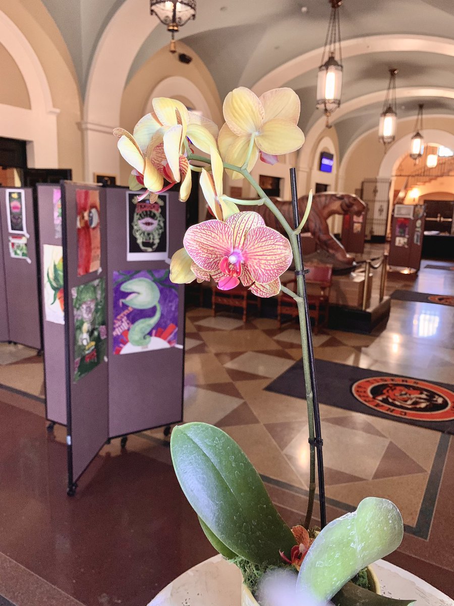 Mrs. Marquez tweet media