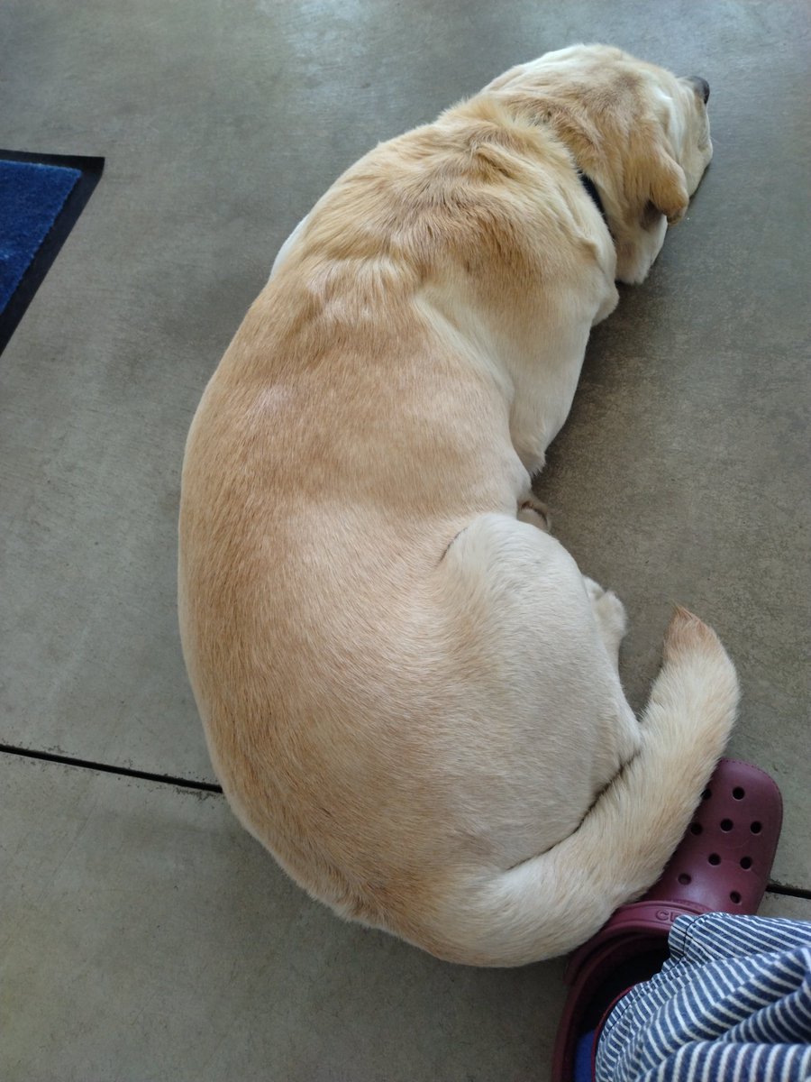 67maniax's tweet image. スターターモーター交換しました
#bugworks