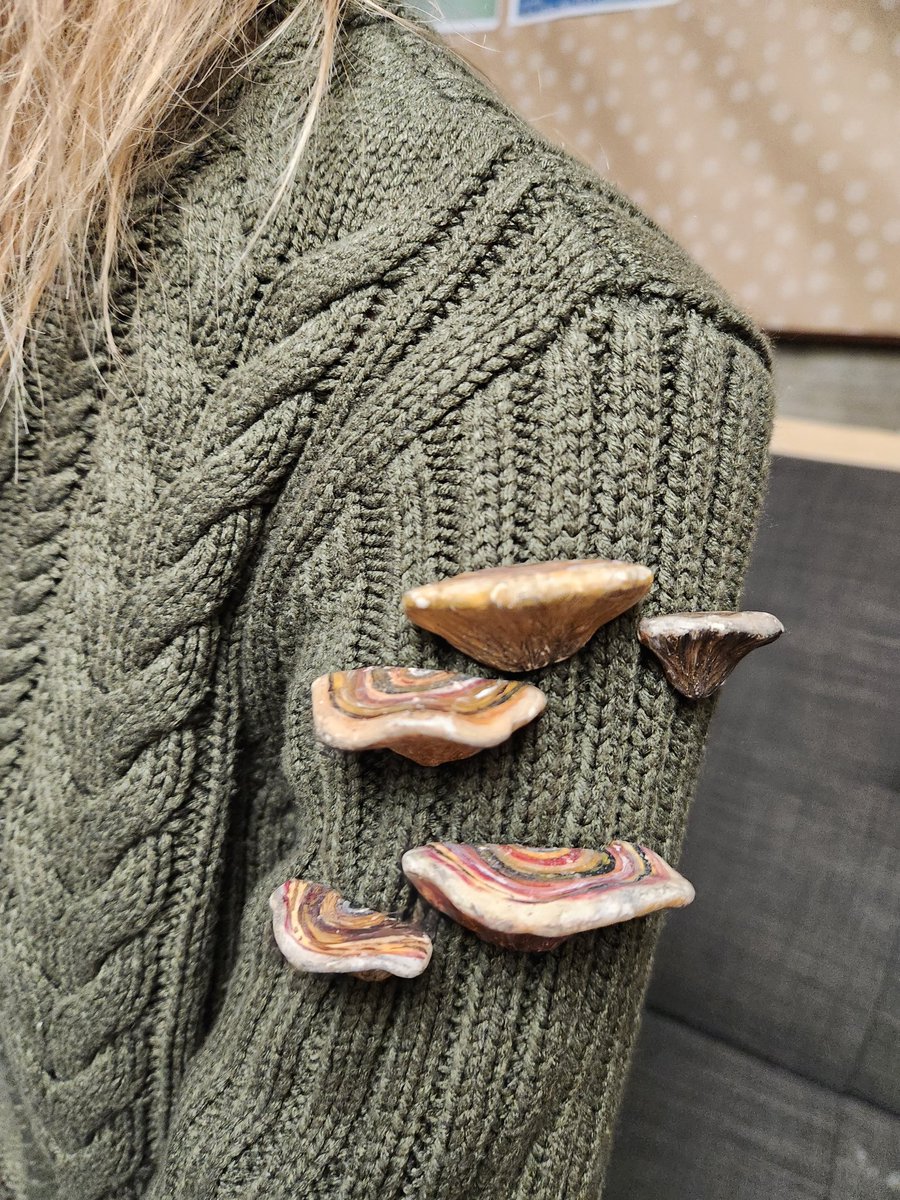 snakeymama's tweet image. Looooook at the shelf fungus pins my student Stella made!! Who needs some? 🙋‍♀️