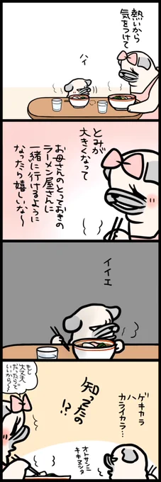 NOと言えるふたり 