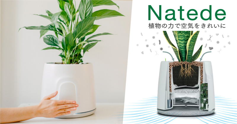KibidangoJp's tweet photo. ファイトレメディエーションという
空気中の汚染物質を己の栄養とする
植物の浄化能力を活用した新世代の
空気清浄機 #Natede プロジェクトが
Kibidangoでスタートしています。

メーカー推奨の植物以外でも効果があるのか、Twitter担当が調べてみたいと思いまｓn