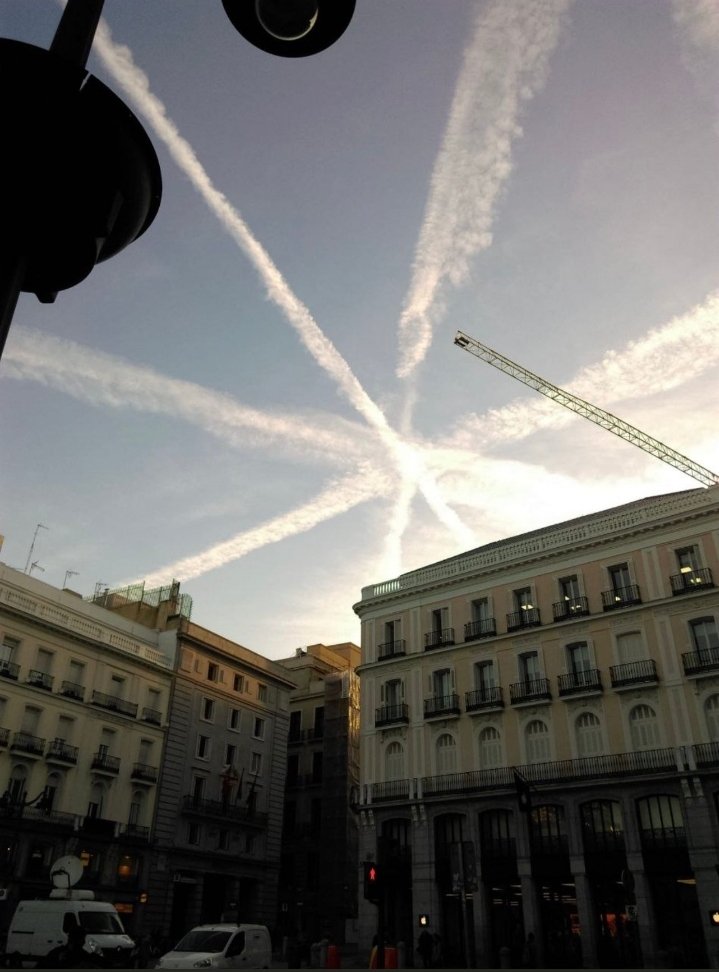 Borregos Ilustres tweet media