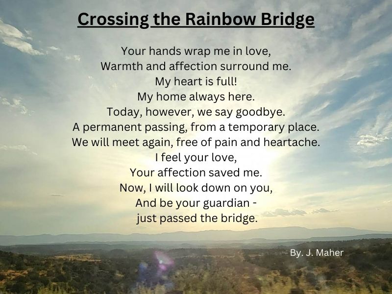 Follow my Twitter page specific to my poetry @Unravelingbook1 
#poetry #poetrycommunity #poetsofinstagram #poetsoffacebook #poet #publishedauthor #dog #grief #animalgrief #womenpoets #bymepoetry