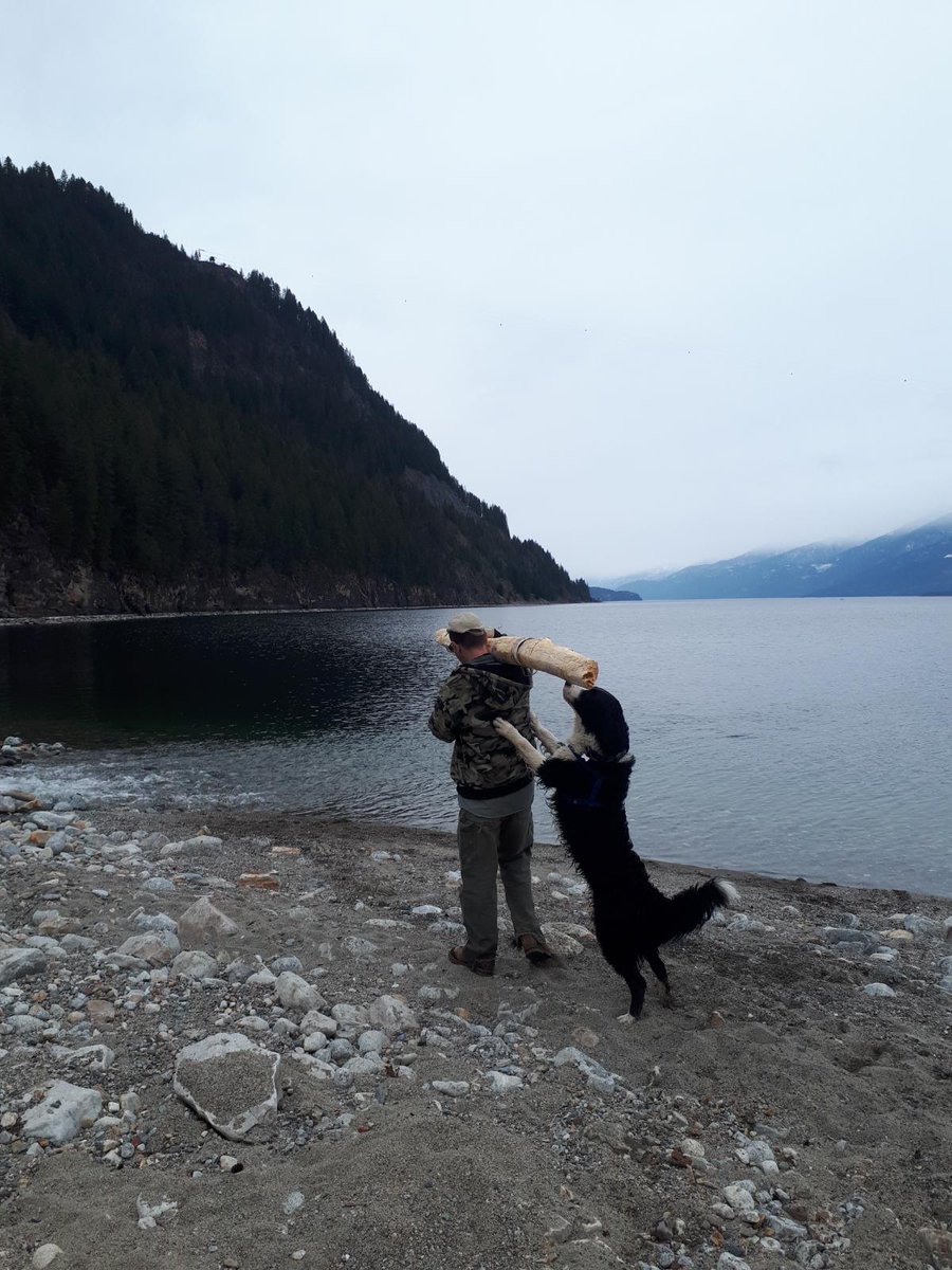 PandaBacon5's tweet photo. #kootenaymountaindog
#bernesemmountaindog https://t.co/X89G9V6ai2