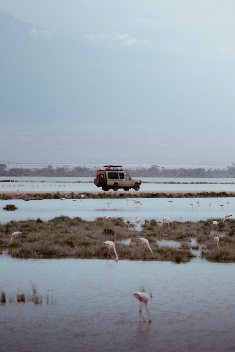 mykoolala's tweet photo. #traveltrivia 
Answer correctly and get a discount when booking with us at https://t.co/9G3bWUVxgV
What is the name of the Kenyan lake famous for its pink color and the millions of flamingos that flock to its shores??

📸Pexels

#traveltips
#Explore
#Deals
#Activities https://t.co/PNA1Mal276