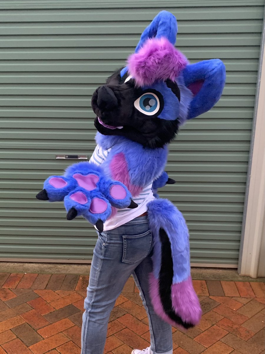 LupeSuits's tweet photo. A cute blue and purple wolf appears! 🐺 It’s Alpha! https://t.co/DG4LZW8mDp
