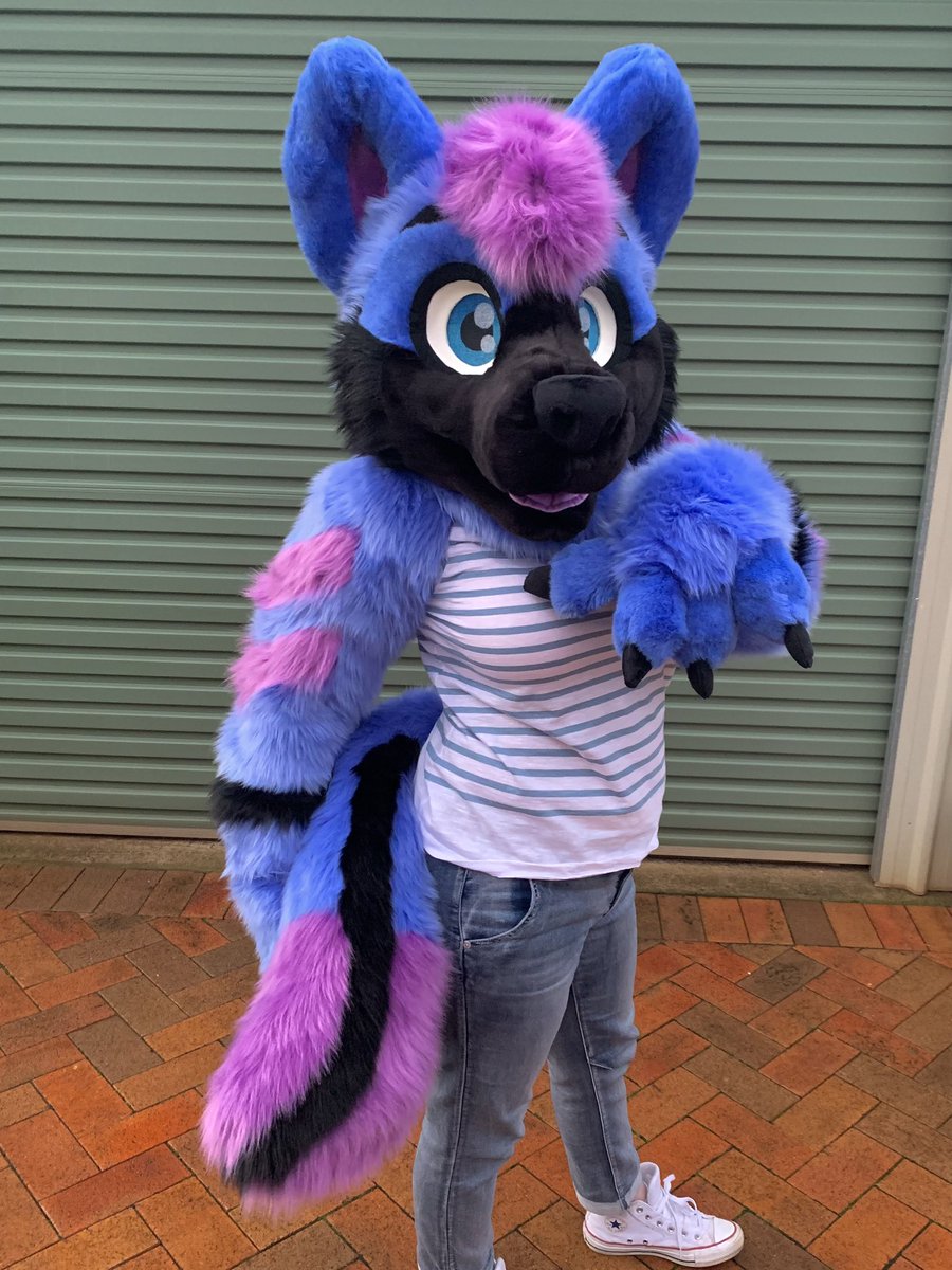 LupeSuits's tweet photo. A cute blue and purple wolf appears! 🐺 It’s Alpha! https://t.co/DG4LZW8mDp