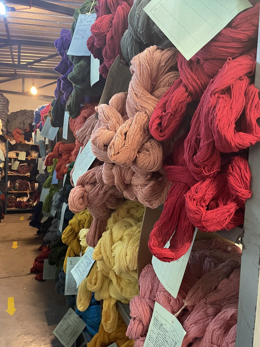 Dr. Denita Hadziabdic Guerry tweet media