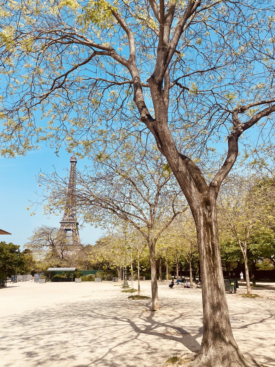 PinkTaxiRunner's tweet image. Seen upside down, how blue and stony gray the cloudy sky appears - an abyss, a swallowing, upheaving kind of earth #RabbitatRest #JohnUpdike