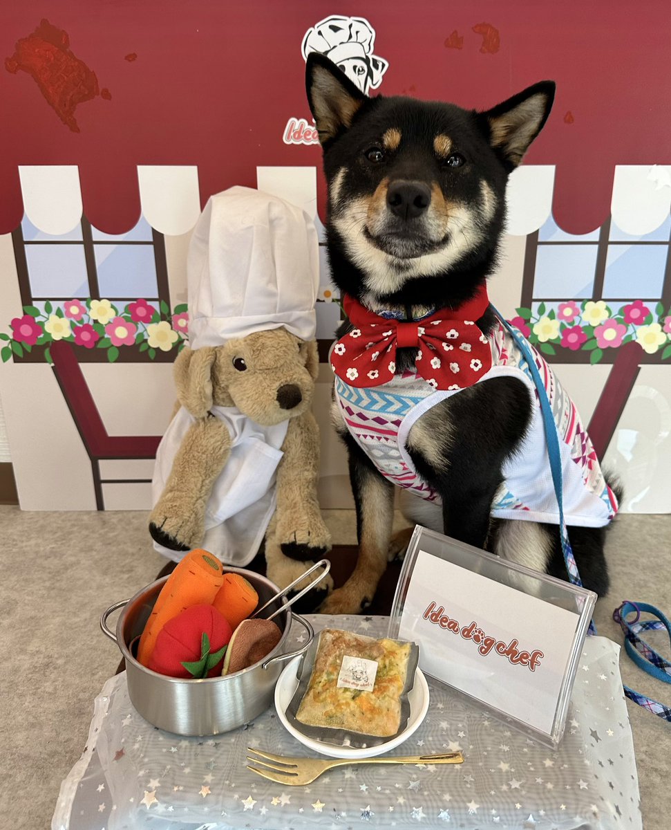 Gin_kuroishiba's tweet photo. idea dog chefさんの
佐野直売所店さんプレオープンに行ってきました〜❤️
以前イベント時に購入させていただいてからリピしてるお店様です❣️
佐野プレミアムアウトレットの近くなので
お買い物がてら寄りやすい👍✨
#柴犬
#黒柴
#ideadogchef
#佐野直売所
#プレオープン
#いってきました https://t.co/auotyZVdEl