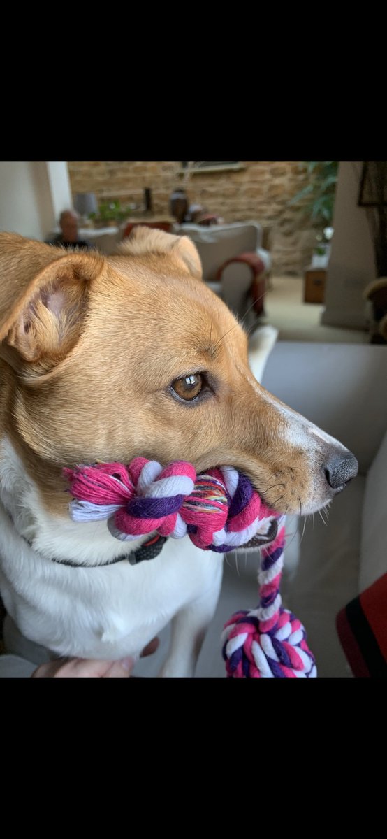 Happy Friday ! Would you like to play ? 🥰🥰🥰