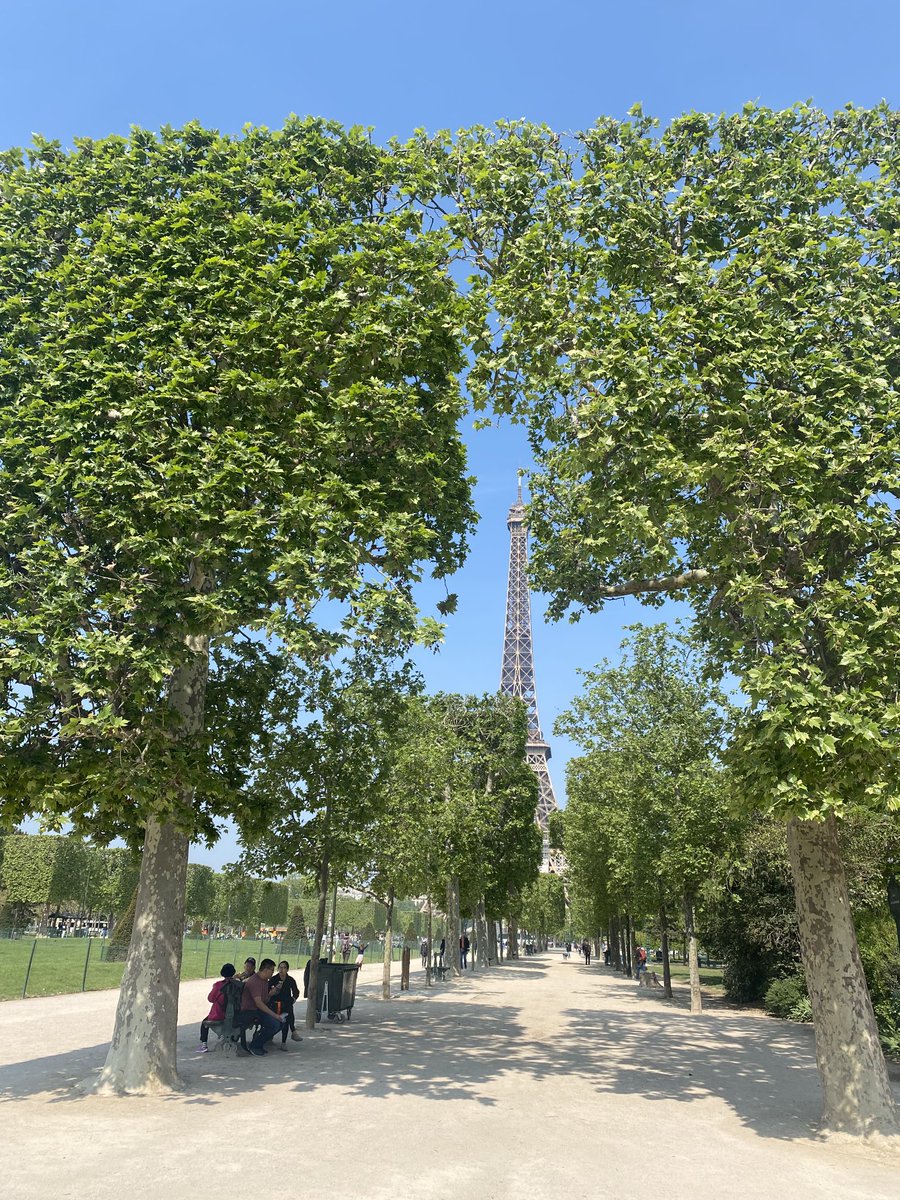 PinkTaxiRunner's tweet image. But when the small commotions are over the silence comes back, the presence of absence #JohnUpdike #RabbitatRest