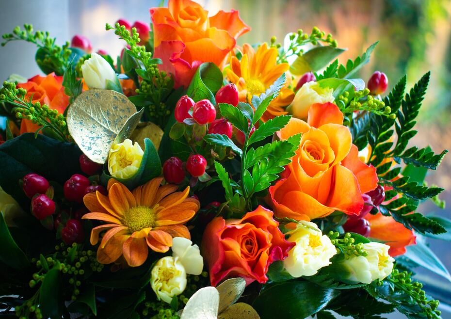 pickupflowers's tweet photo. Reasons Why Carnations Are The Perfect Mother's Day Gift!
https://t.co/vwjrYoeziX https://t.co/FeQRG5Z319