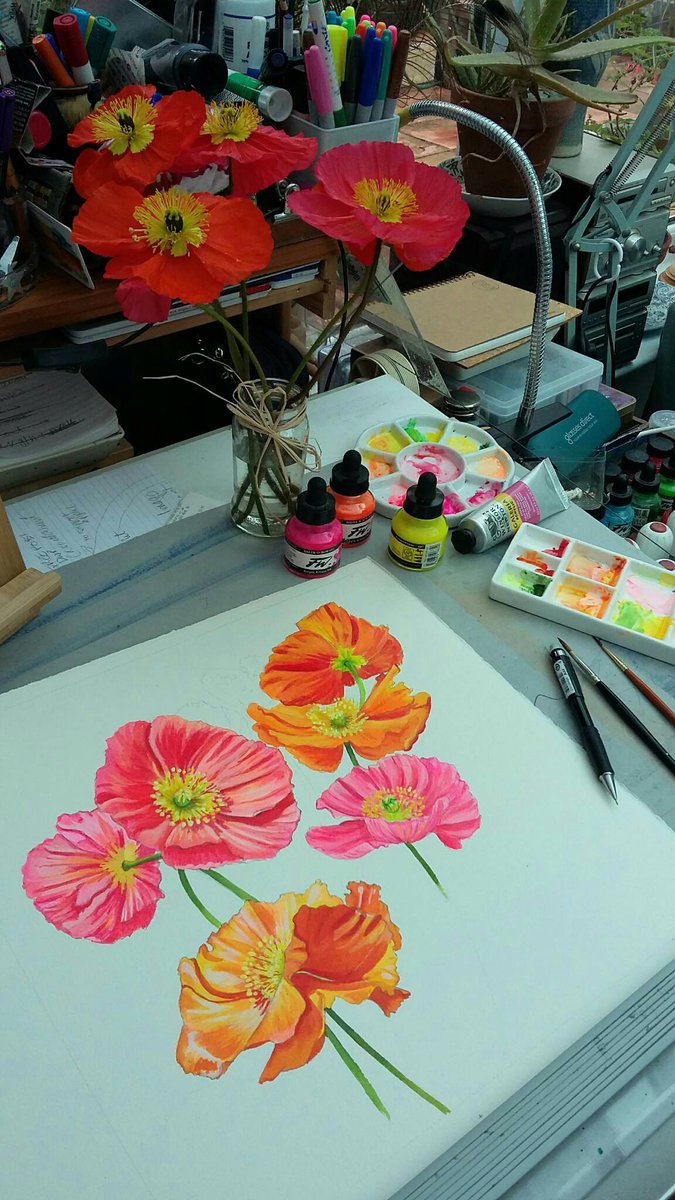 I'm  loving #painting these beautiful poppies. Just got to wait for this bit to dry, a couple more poppies, then the background. Thanks to Shotley Flower Field for the stunning poppies #organicflowers #botanically #illustrator #Suffolk #suffolkartist #pickyourownflowers