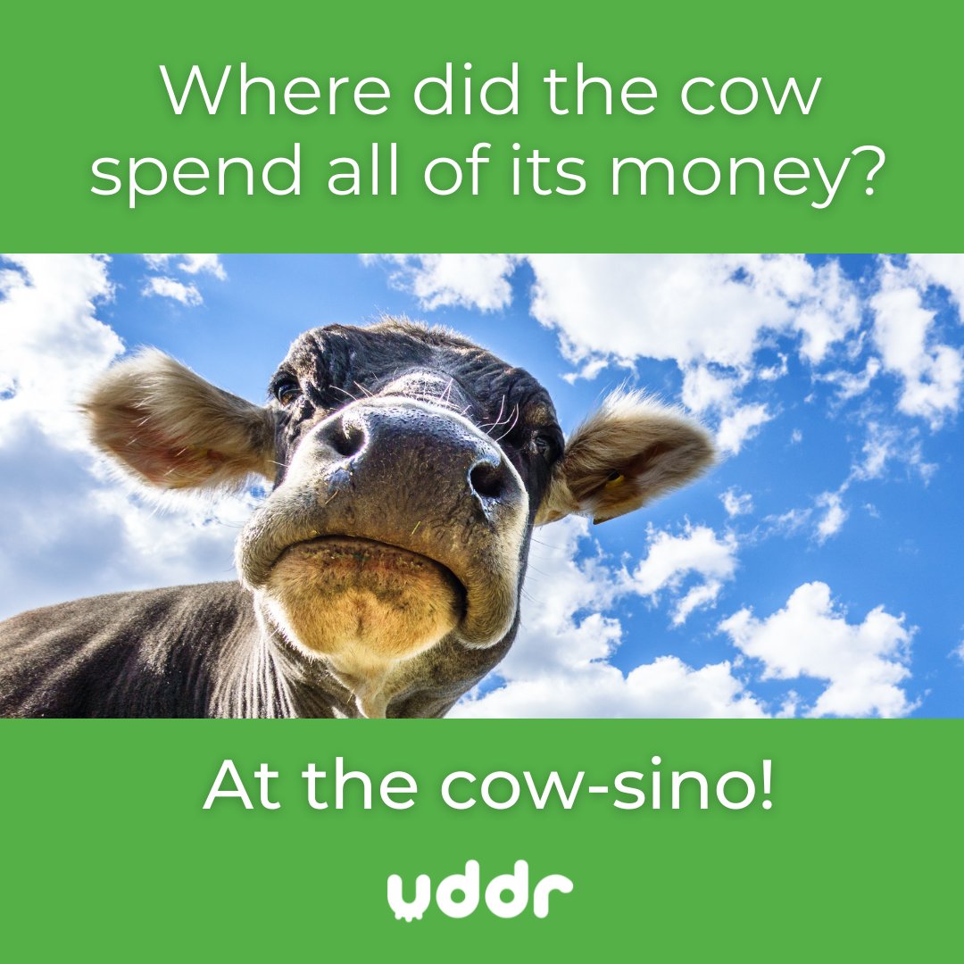 uddr Local Services tweet media