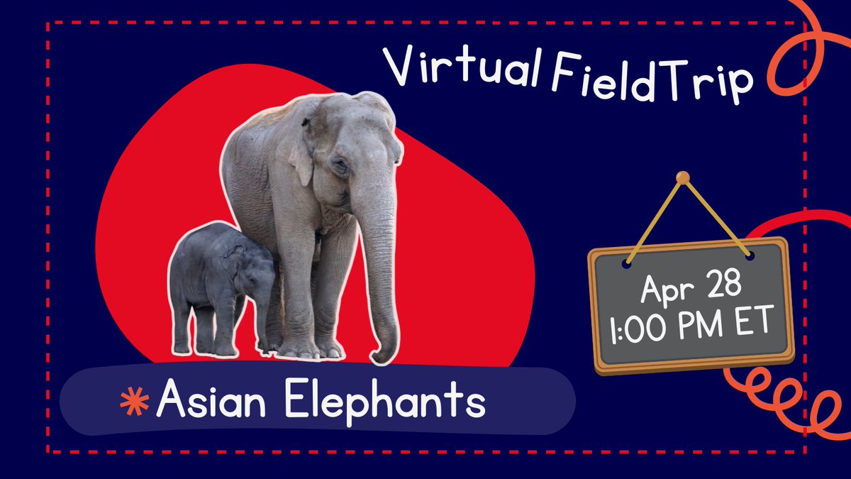 LATER @ 1PM EST | Visit an Asian Elephant sanctuary in Thailand on this #virtualfieldtrip We'll learn about this amazing animal and some best practices when visiting this part of the world. #TNedchat #4thchat #teachsdgs | Register buff.ly/3XziU28