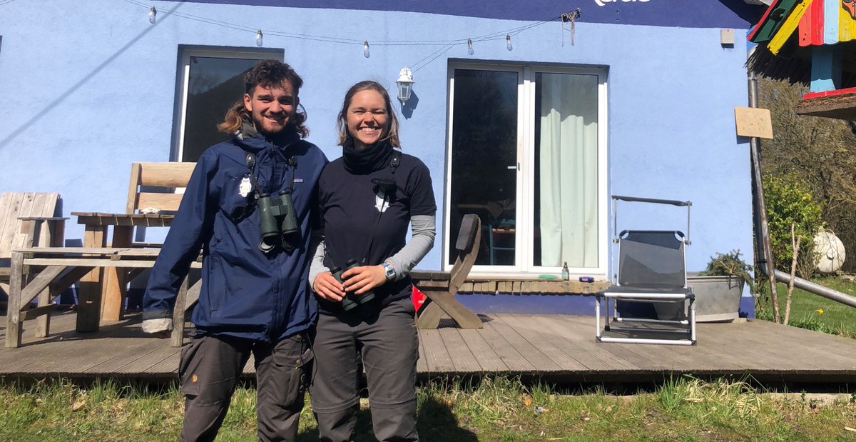 succow_stiftung's tweet photo. Ein neuer #Freiwilliger trifft auf der #InselKoos ein. Er konnte Alpenstrandläufer, Sandregenpfeifer und Große Brachvögel beobachten. Damit die seltenen #Watvögel in Zukunft offene Flächen finden, wurde ein #Triftweg gebaut. Kommt zu unseren Exkursionen: https://t.co/1hCxpKTPzB https://t.co/sfl3Hz4kmM