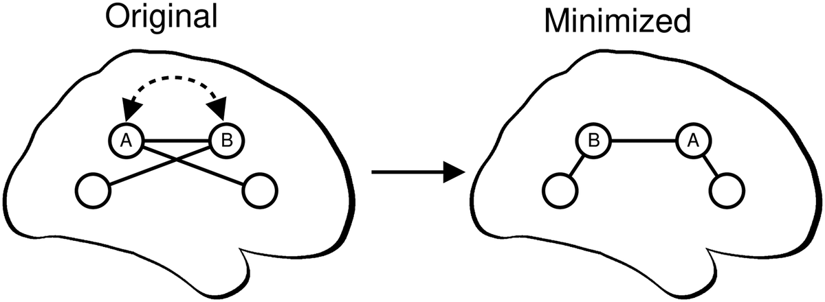 Network Neuroscience (@netneurosci) on Twitter photo Network Neuroscience (2023) 7 (1): 254–268.
Nonoptimal component placement of the human connectome supports variable brain dynamics
direct.mit.edu/netn/article/7…
<a href="/ConnectomeLab/">Marcus Kaiser</a> Network Neuroscience (2023) 7 (1): 254–268.
Nonoptimal component placement of the human connectome supports variable brain dynamics
direct.mit.edu/netn/article/7…
<a href="/ConnectomeLab/">Marcus Kaiser</a>