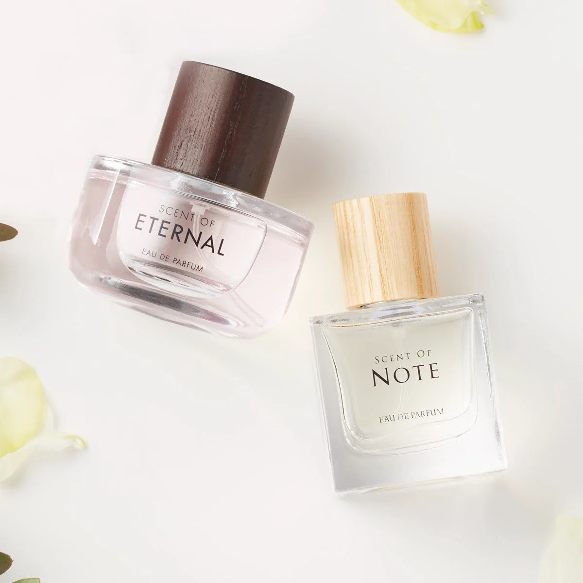 SCENT OF NOTE/ETERNAL (@scentof_n_e) / X