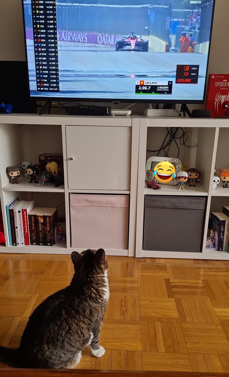 <a href="/adriisperez/">Adriper1024</a> está llevando lo de la F1 demasiado lejos, ha conseguido engachar también a Holly