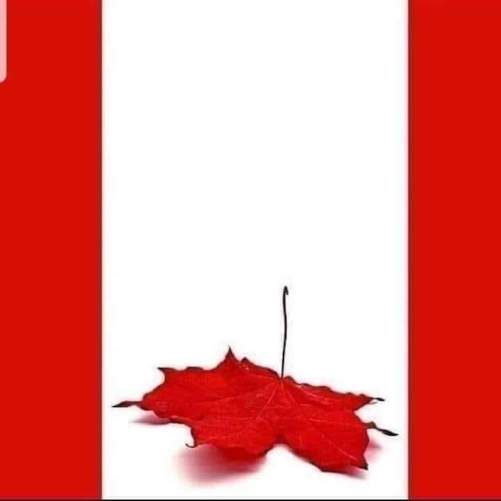 Sassygal1971's tweet photo. When JT said he admired Chinas dictatorship he was not kidding around⦠RIP Canada https://t.co/6ptcOBrp7a