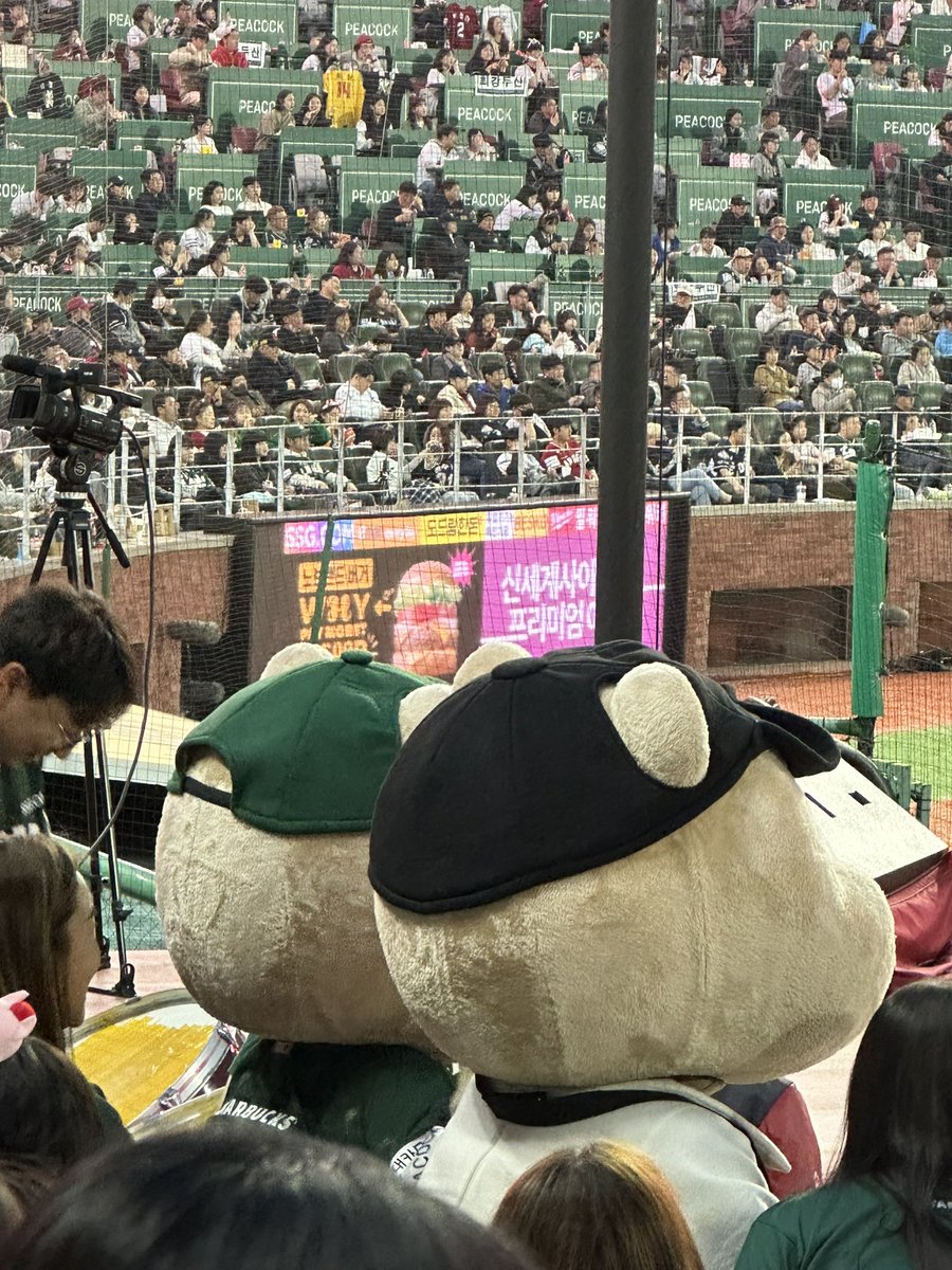 귀여운 동그란 뒷통수 ... 마스코트로 진행시켜